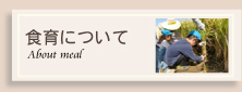 食育について